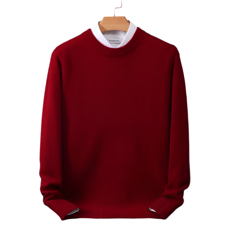 Men's long-sleeve crew-neck sweater